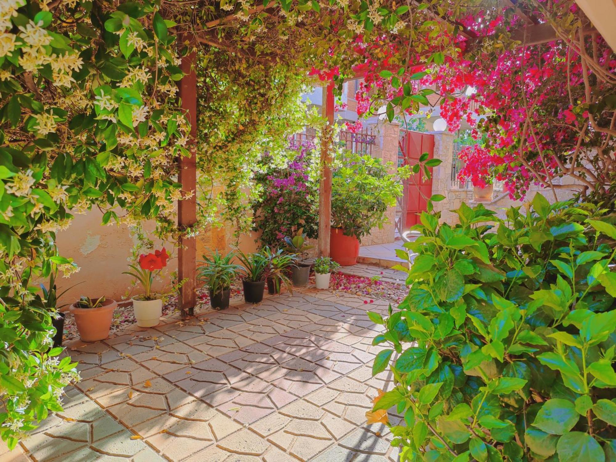 Artemis Garden Near Airport